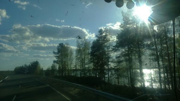 Профессионалы Дальних Дорог